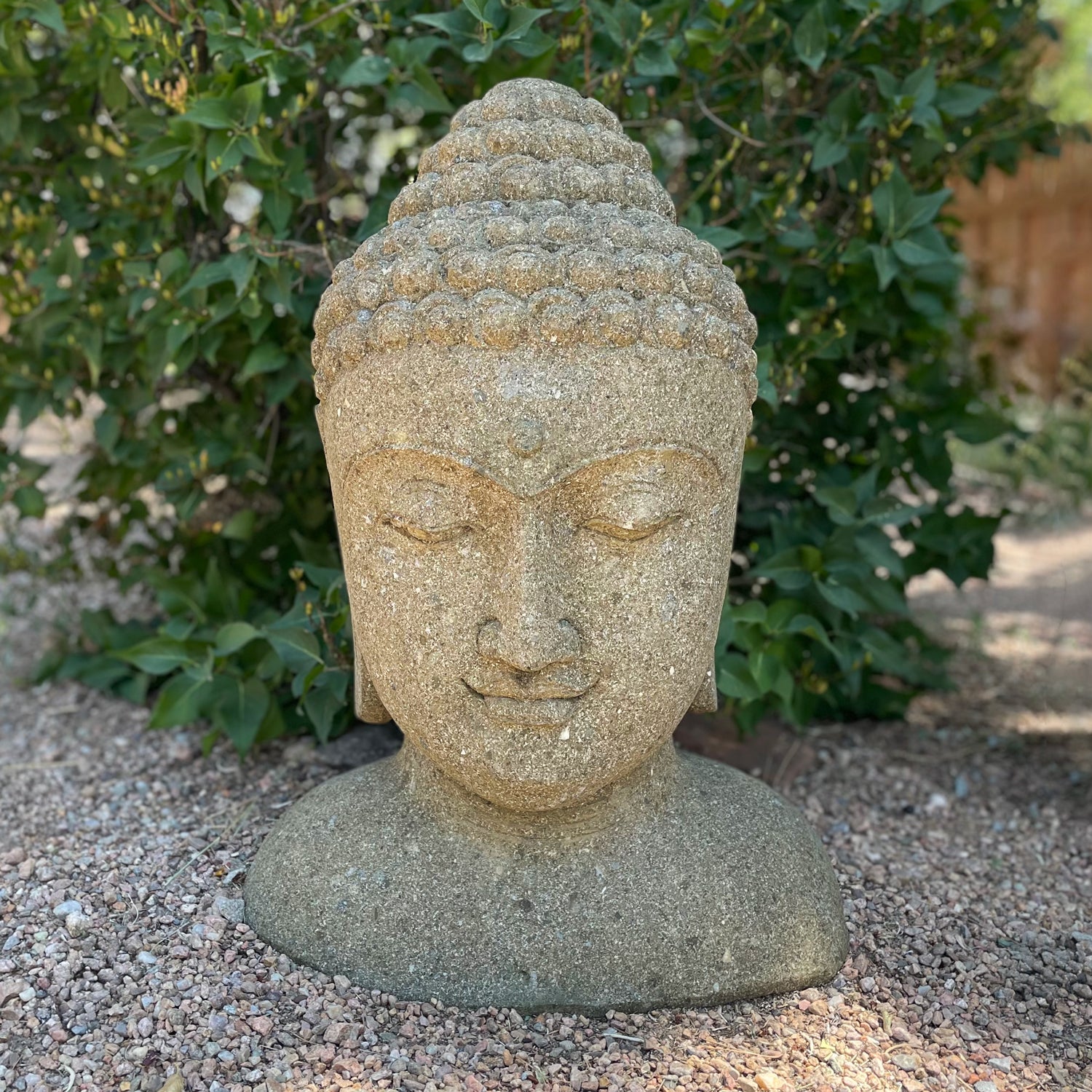 Stone Buddha head sculpture on a gravel surface with greenery in the background