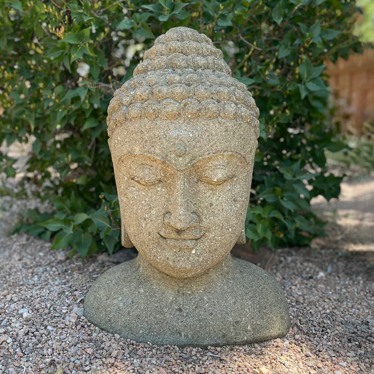 Stone Buddha head sculpture on a gravel surface with greenery in the background image 2 of 2