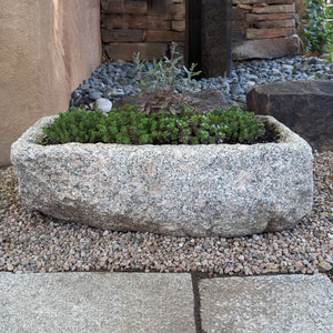 Stone Forest Hand Chiseled Antique Stone Trough used as Planter image 1 of 5