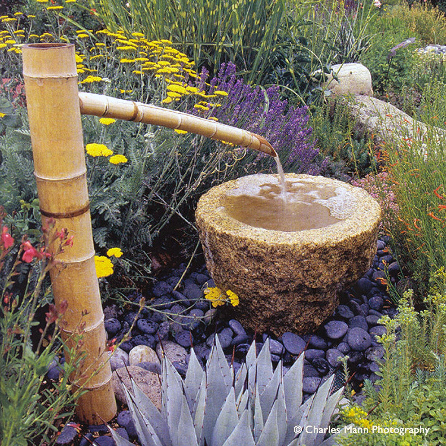 Rough Vessel with bamboo spout