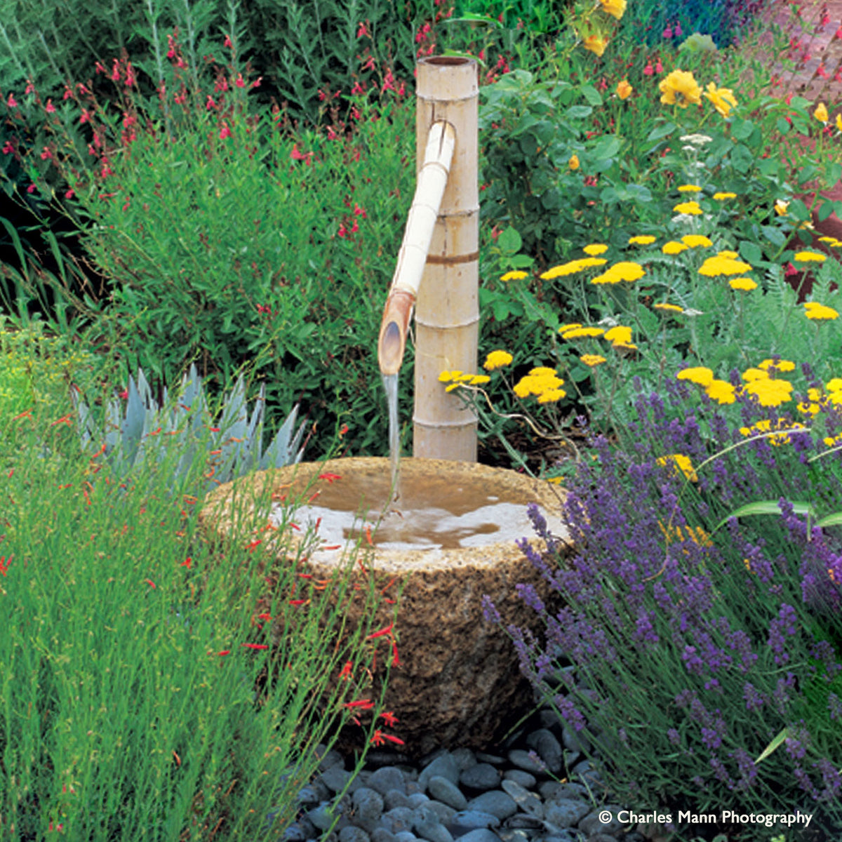 Rough Vessel with bamboo spout image 3 of 3