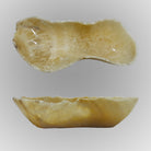 A free-form onyx bowl with a smooth, curved shape, honey color