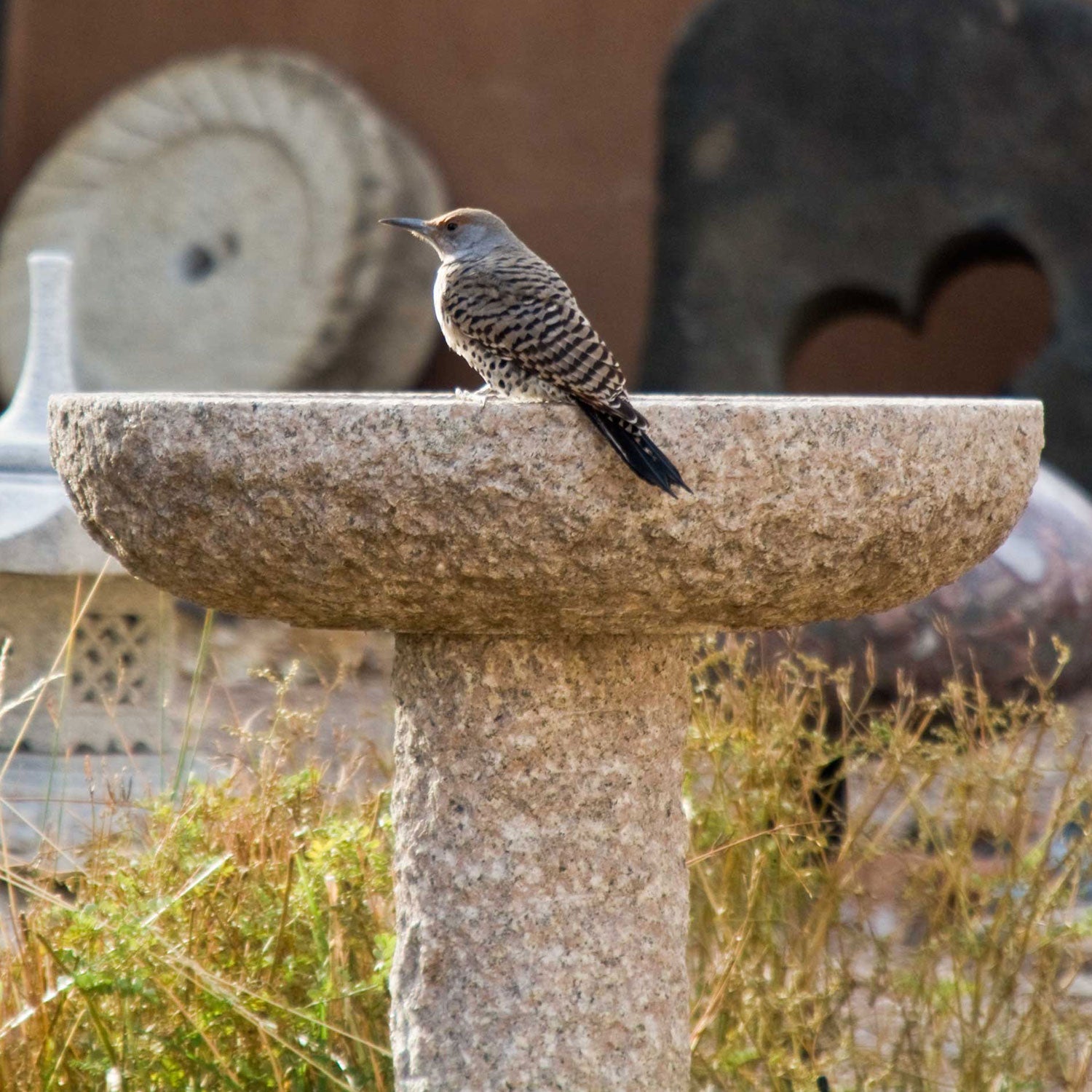 birdbath in beige granite