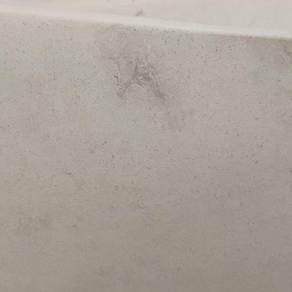 fossil anomaly in desert cream limestone