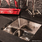 polished stainless steel bar sink