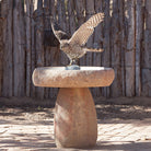 Hawk on Wabi birdbath