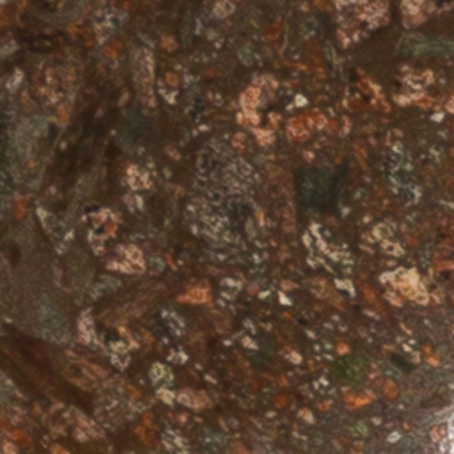 Jurassic stone sample