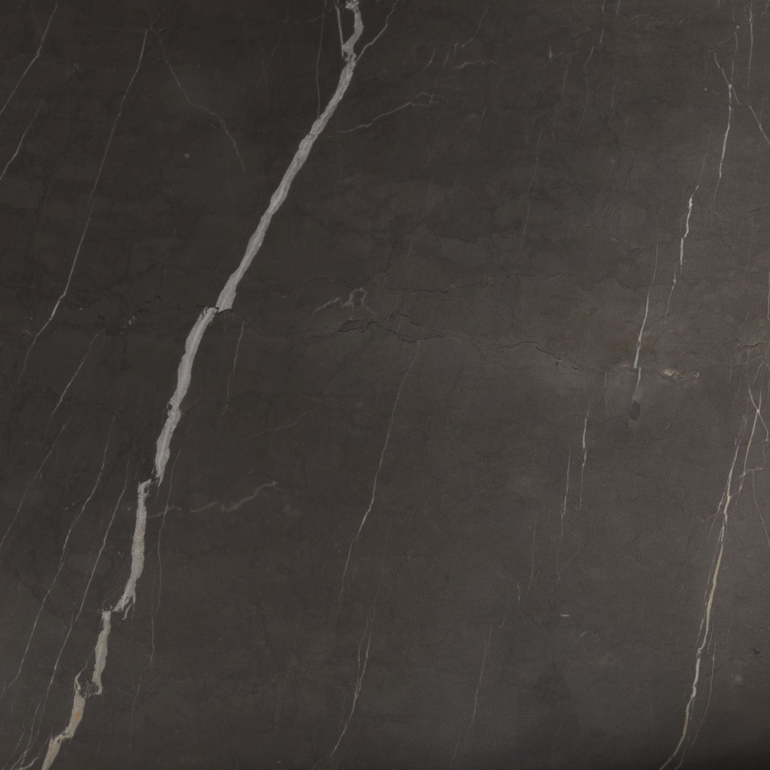 marquina taupe marble sample