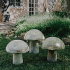 Three garden mushrooms carved from onyx, placed in a garden setting.