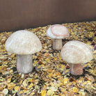 Three garden mushrooms carved from onyx, placed in a garden setting.