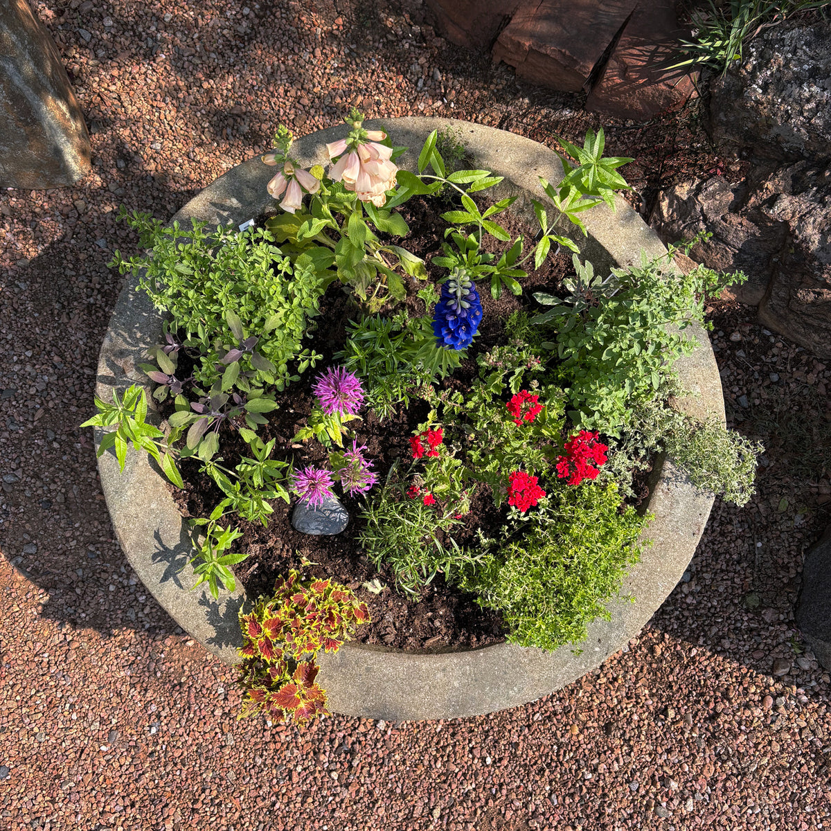 Round Verde Basalt Planter with plants image 3 of 5
