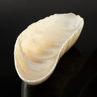 A free form onyx bowl with a smooth, curved shape against a dark background.