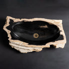Petrified Wood Bath Sink