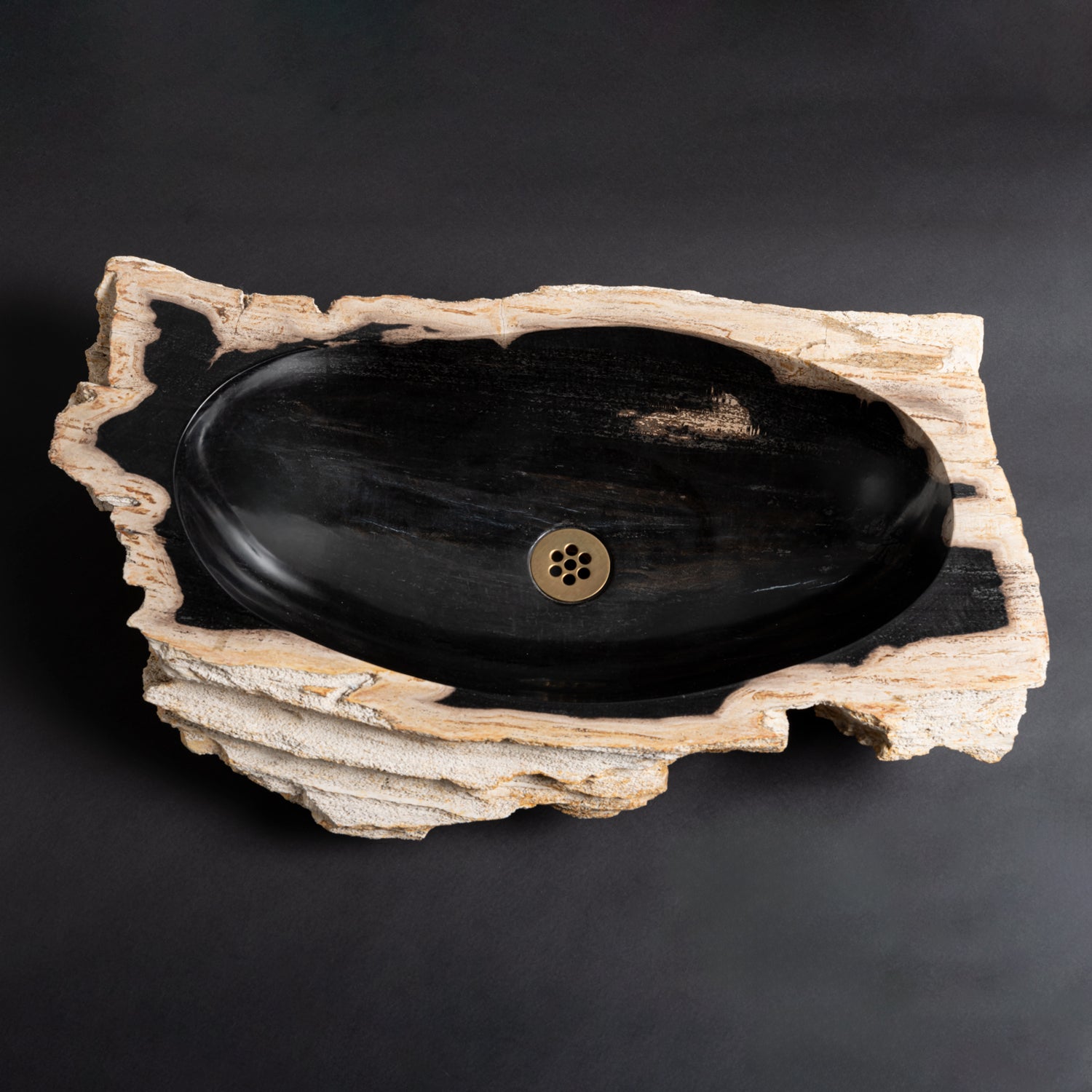 Petrified Wood Bath Sink