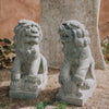 Hand Carved Antique Stone Lions