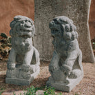 pair of antique stone lions were hand-sculpted from a block of dark limestone. They are also known as lion dogs or foo dogs/fu dogs.