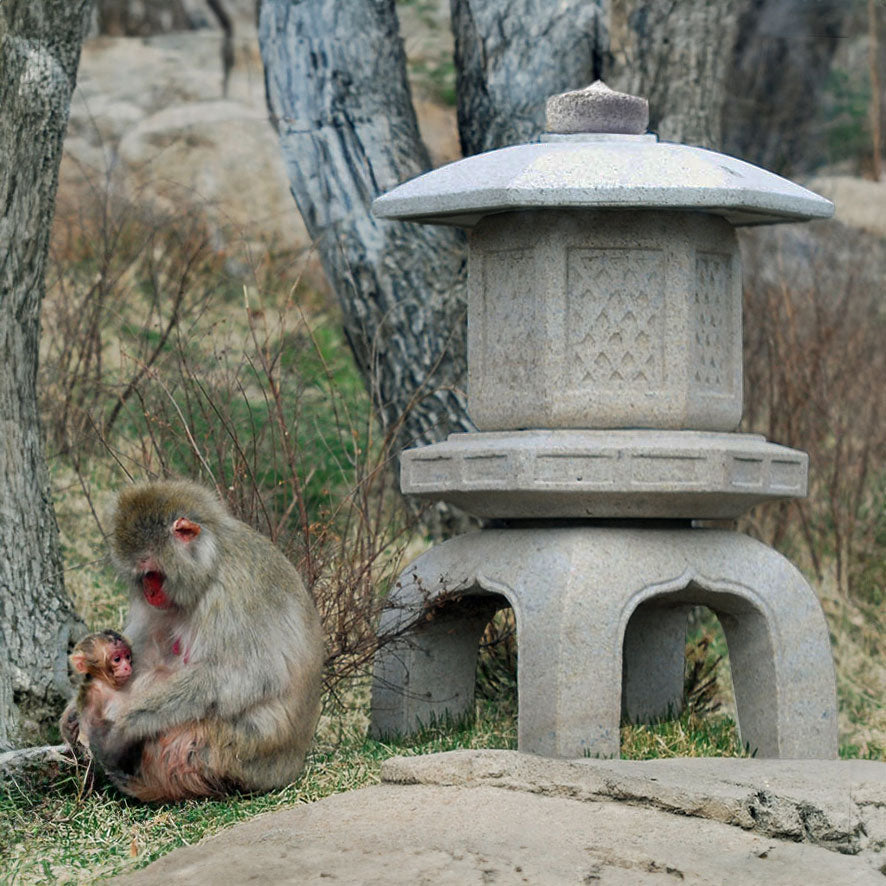 A custom stone lantern with a monkey sitting beside it, in a natural outdoor setting with trees in the background.
