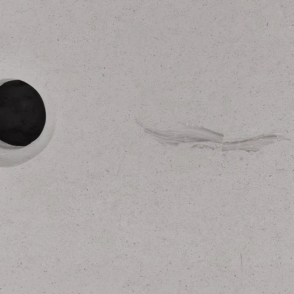 fossil anomaly in desert cream limestone