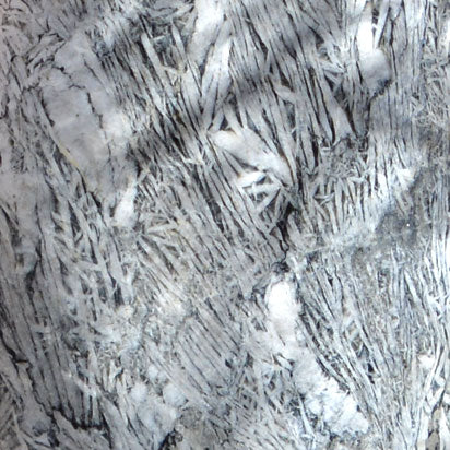 sample of bamboo marble