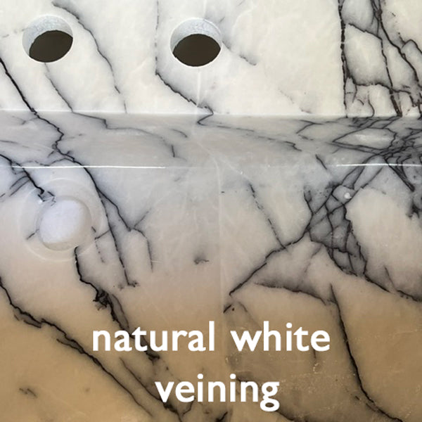 close up of viola bianco white veining