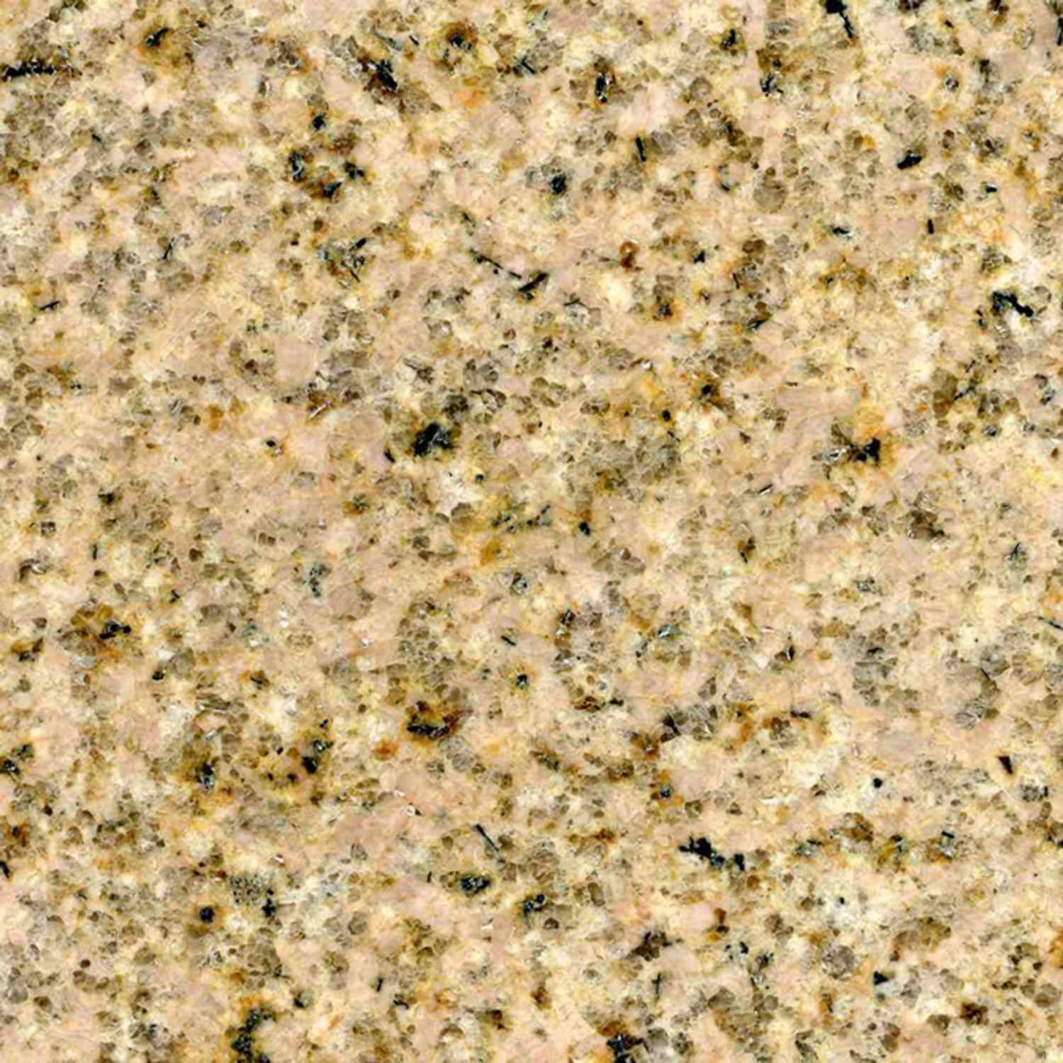 beige sample
