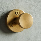 Elemental Classic Robe Hook in aged brass